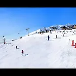 Palenica *