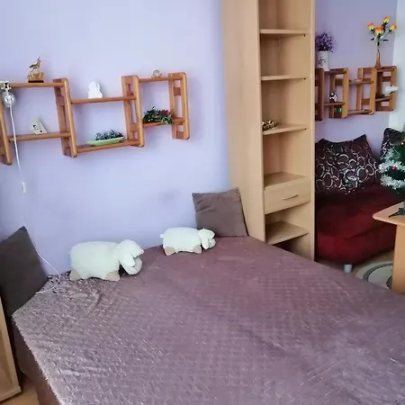 Palenica Apartamento