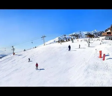 Palenica *