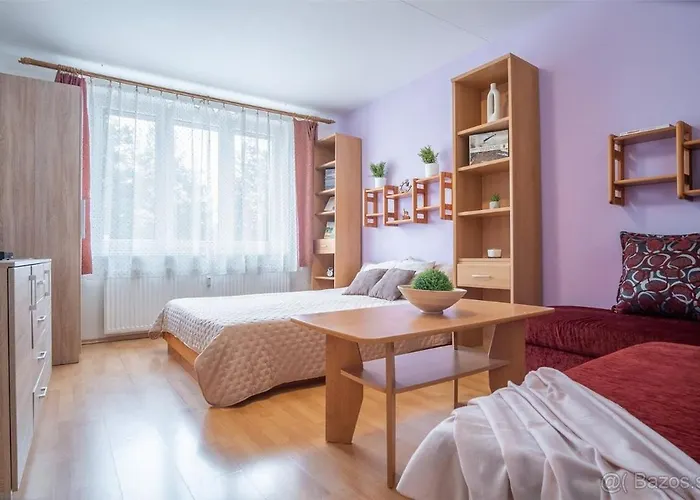 Apartment Palenica